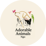 Srieducational Welfare Association (SEWA) (3) (1)