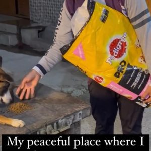 WhatsApp Image 2025-01-02 at 20.45.18 (1)