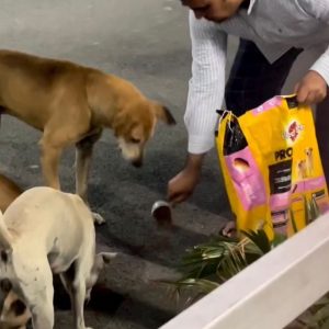 WhatsApp Image 2025-01-02 at 20.45.18