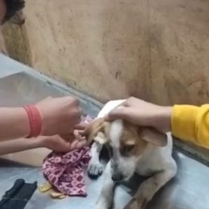 WhatsApp Image 2025-01-02 at 20.45.19