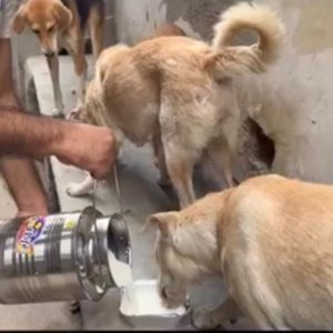 WhatsApp Image 2025-01-02 at 20.45.20 (2)