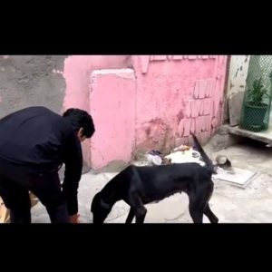 WhatsApp Image 2025-01-02 at 20.45.20