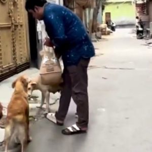 WhatsApp Image 2025-01-02 at 20.45.22 (1)