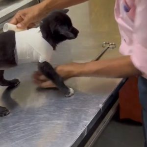 WhatsApp Image 2025-01-02 at 20.45.23 (2)