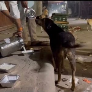 WhatsApp Image 2025-01-02 at 20.45.24 (1)