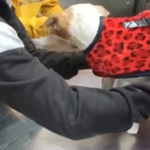 WhatsApp Image 2025-01-02 at 20.45.25 (2)