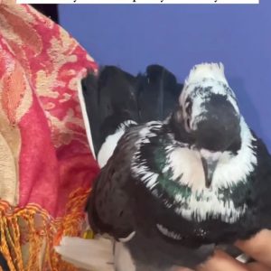 WhatsApp Image 2025-01-02 at 20.45.25 (3)