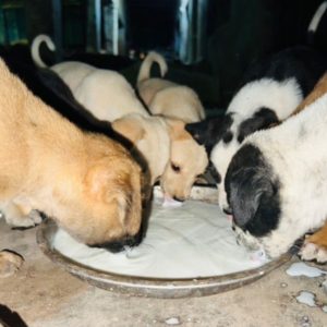 WhatsApp Image 2025-01-02 at 20.45.25