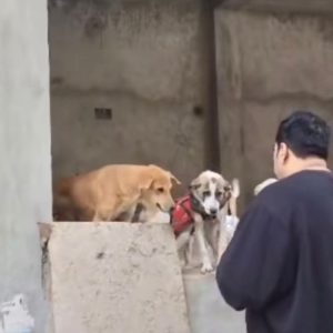 WhatsApp Image 2025-01-02 at 20.45.26 (2)