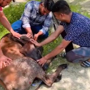 WhatsApp Image 2025-01-02 at 20.45.27